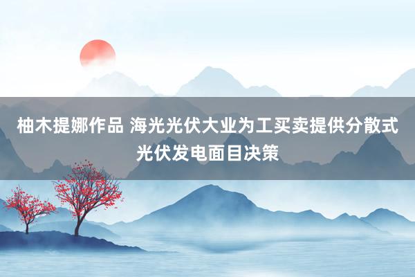 柚木提娜作品 海光光伏大业为工买卖提供分散式光伏发电面目决策