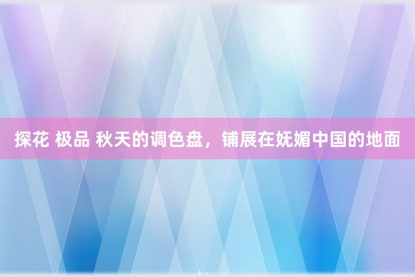 探花 极品 秋天的调色盘，铺展在妩媚中国的地面