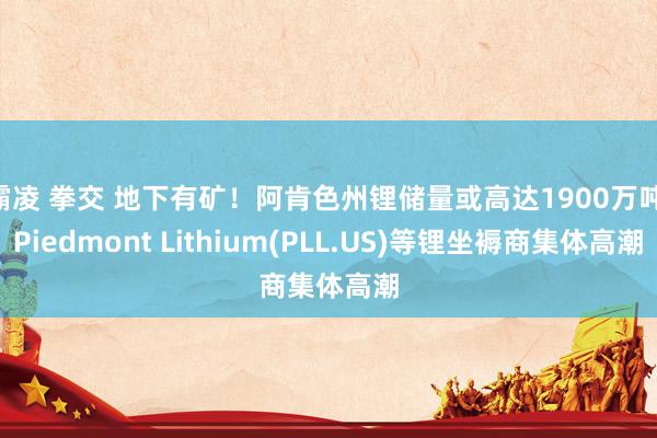 霸凌 拳交 地下有矿！阿肯色州锂储量或高达1900万吨 Piedmont Lithium(PLL.US)等锂坐褥商集体高潮