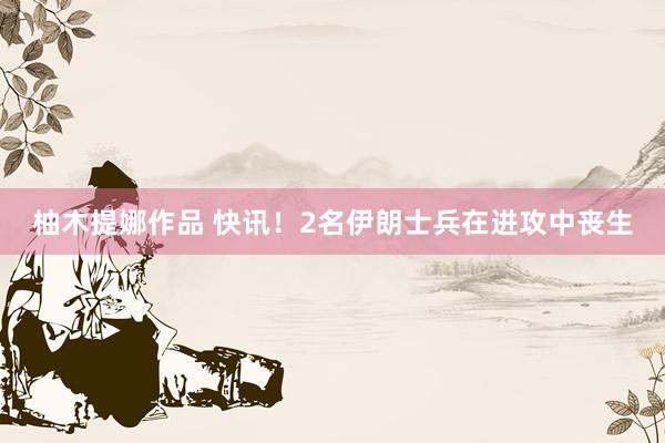 柚木提娜作品 快讯!2名伊朗士兵在进攻中丧生