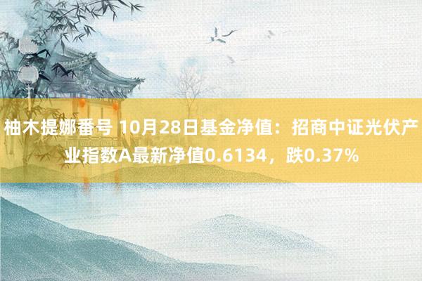 柚木提娜番号 10月28日基金净值：招商中证光伏产业指数A最新净值0.6134，跌0.37%