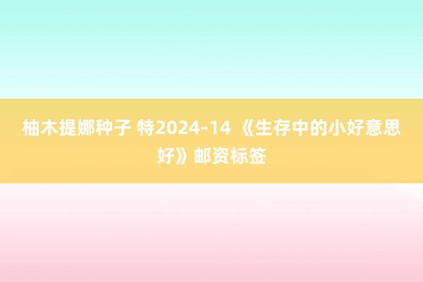 柚木提娜种子 特2024-14 《生存中的小好意思好》邮资标签