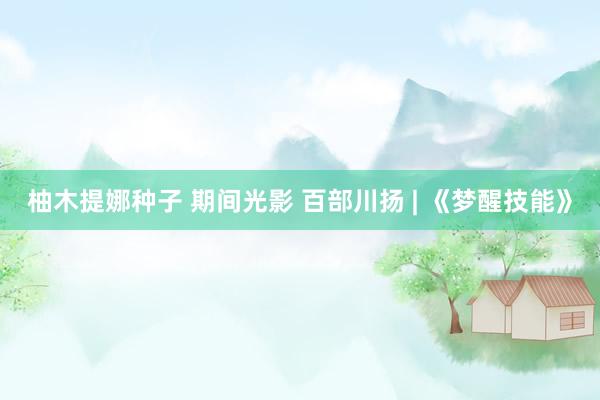 柚木提娜种子 期间光影 百部川扬 | 《梦醒技能》