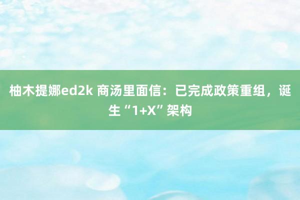 柚木提娜ed2k 商汤里面信：已完成政策重组，诞生“1+X”架构