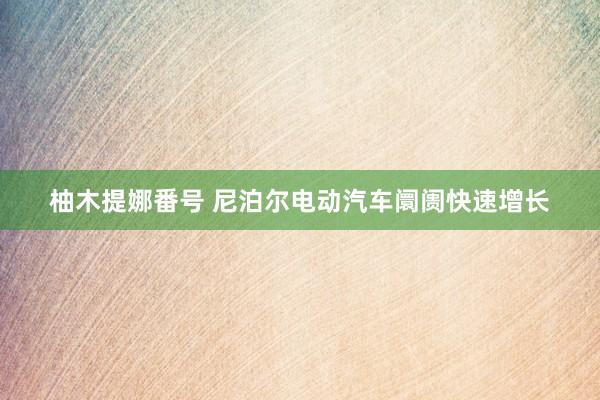 柚木提娜番号 尼泊尔电动汽车阛阓快速增长