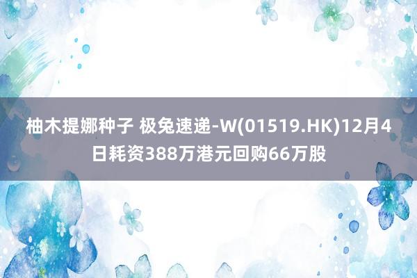 柚木提娜种子 极兔速递-W(01519.HK)12月4日耗资388万港元回购66万股