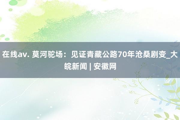 在线av. 莫河驼场：见证青藏公路70年沧桑剧变_大皖新闻 | 安徽网