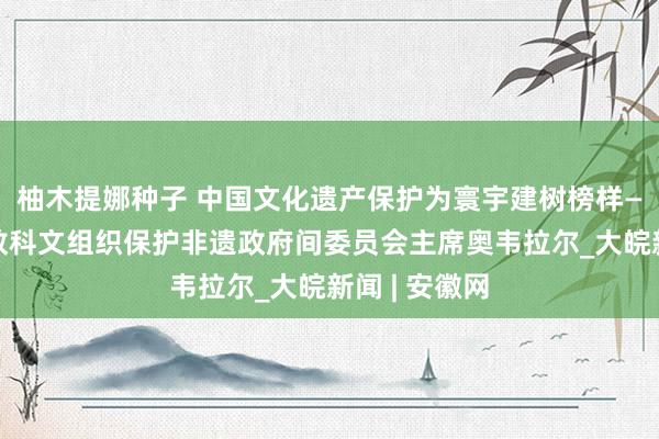 柚木提娜种子 中国文化遗产保护为寰宇建树榜样——访连合国教科文组织保护非遗政府间委员会主席奥韦拉尔_大皖新闻 | 安徽网