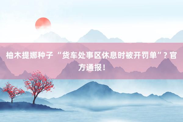 柚木提娜种子 “货车处事区休息时被开罚单”? 官方通报！