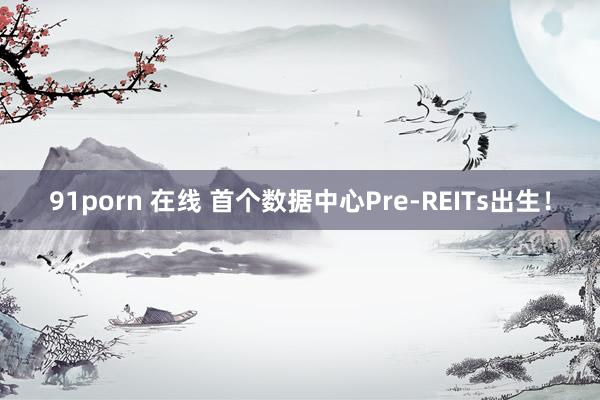 91porn 在线 首个数据中心Pre-REITs出生！