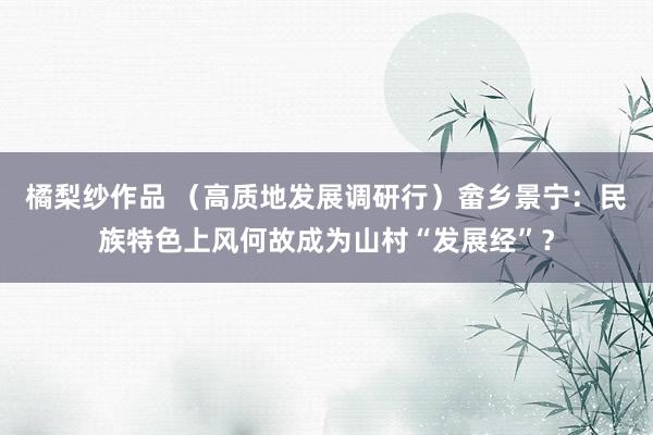 橘梨纱作品 （高质地发展调研行）畲乡景宁：民族特色上风何故成为山村“发展经”？