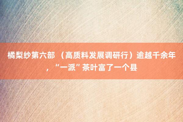 橘梨纱第六部 （高质料发展调研行）逾越千余年，“一派”茶叶富了一个县