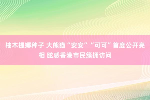 柚木提娜种子 大熊猫“安安”“可可”首度公开亮相 眩惑香港市民簇拥访问