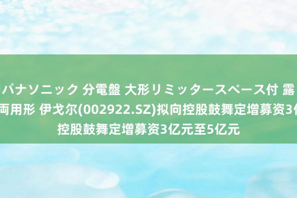 パナソニック 分電盤 大形リミッタースペース付 露出・半埋込両用形 伊戈尔(002922.SZ)拟向控股鼓舞定增募资3亿元至5亿元