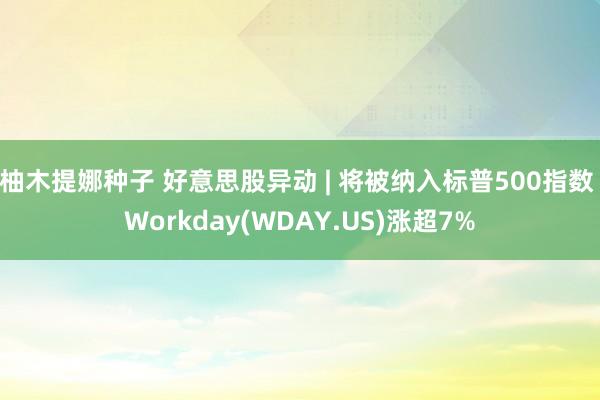柚木提娜种子 好意思股异动 | 将被纳入标普500指数 Workday(WDAY.US)涨超7%