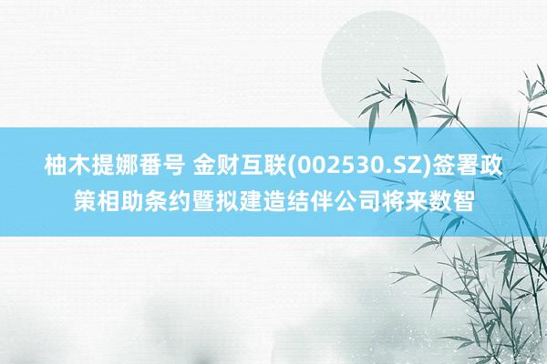 柚木提娜番号 金财互联(002530.SZ)签署政策相助条约暨拟建造结伴公司将来数智