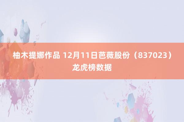 柚木提娜作品 12月11日芭薇股份（837023）龙虎榜数据