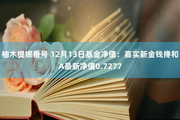 柚木提娜番号 12月13日基金净值：嘉实新金钱搀和A最新净值0.7277