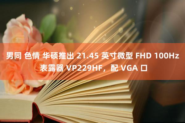 男同 色情 华硕推出 21.45 英寸微型 FHD 100Hz 表露器 VP229HF，配 VGA 口