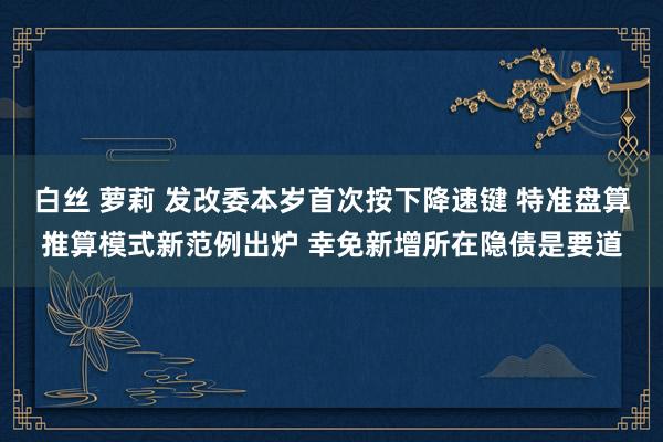 白丝 萝莉 发改委本岁首次按下降速键 特准盘算推算模式新范例出炉 幸免新增所在隐债是要道