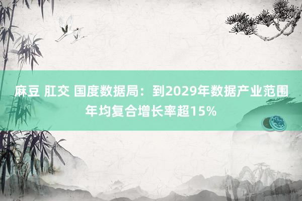 麻豆 肛交 国度数据局：到2029年数据产业范围年均复合增长率超15%