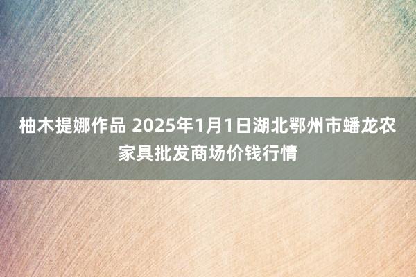 柚木提娜作品 2025年1月1日湖北鄂州市蟠龙农家具批发商场价钱行情