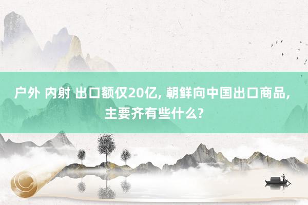 户外 内射 出口额仅20亿， 朝鲜向中国出口商品， 主要齐有些什么?