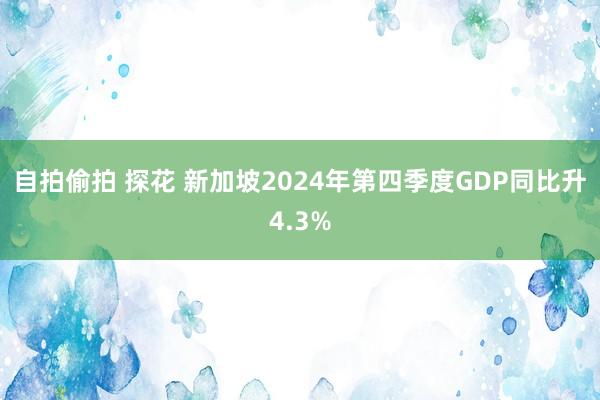 自拍偷拍 探花 新加坡2024年第四季度GDP同比升4.3%
