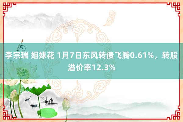 李宗瑞 姐妹花 1月7日东风转债飞腾0.61%,转股溢价率12.3%