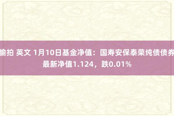 偷拍 英文 1月10日基金净值：国寿安保泰荣纯债债券最新净值1.124，跌0.01%