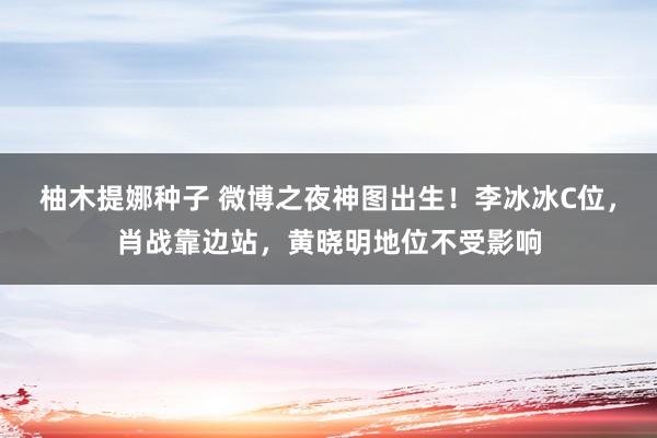 柚木提娜种子 微博之夜神图出生！李冰冰C位，肖战靠边站，黄晓明地位不受影响