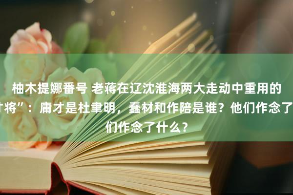 柚木提娜番号 老蒋在辽沈淮海两大走动中重用的“三才将”：庸才是杜聿明，蠢材和作陪是谁？他们作念了什么？