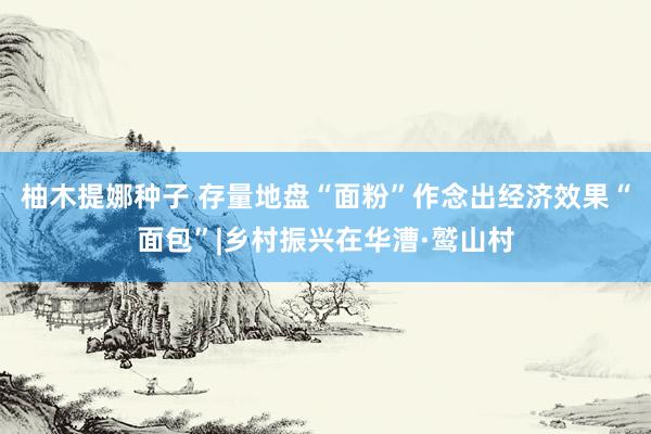 柚木提娜种子 存量地盘“面粉”作念出经济效果“面包”|乡村振兴在华漕·鹫山村