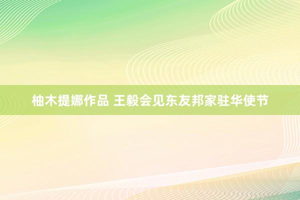 柚木提娜作品 王毅会见东友邦家驻华使节