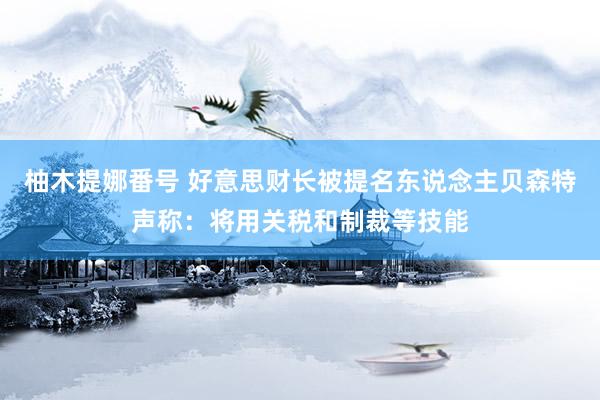 柚木提娜番号 好意思财长被提名东说念主贝森特声称：将用关税和制裁等技能