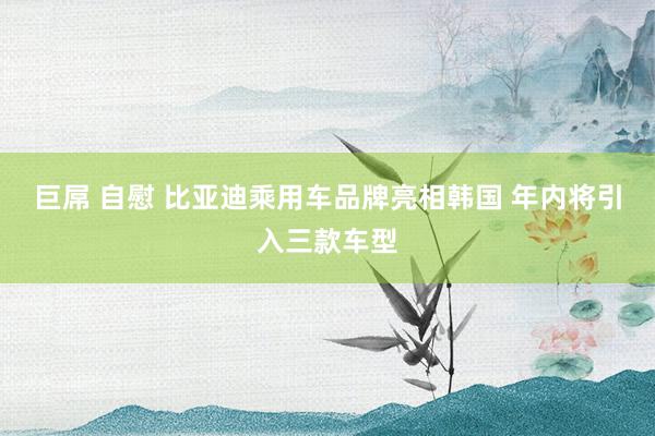 巨屌 自慰 比亚迪乘用车品牌亮相韩国 年内将引入三款车型