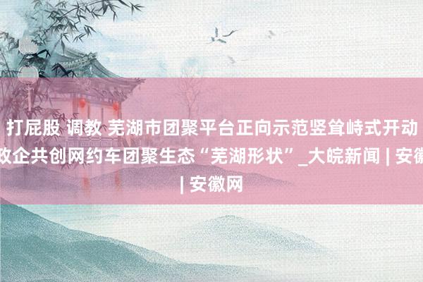 打屁股 调教 芜湖市团聚平台正向示范竖耸峙式开动，政企共创网约车团聚生态“芜湖形状”_大皖新闻 | 安徽网