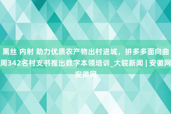 黑丝 内射 助力优质农产物出村进城，拼多多面向曲周342名村支书推出数字本领培训_大皖新闻 | 安徽网