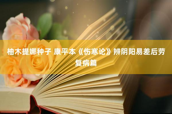 柚木提娜种子 康平本《伤寒论》辨阴阳易差后劳复病篇