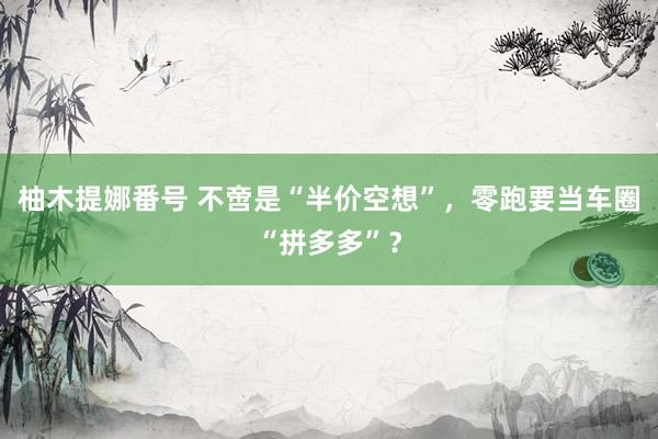 柚木提娜番号 不啻是“半价空想”，零跑要当车圈“拼多多”？