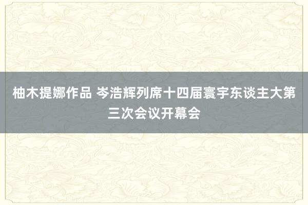 柚木提娜作品 岑浩辉列席十四届寰宇东谈主大第三次会议开幕会