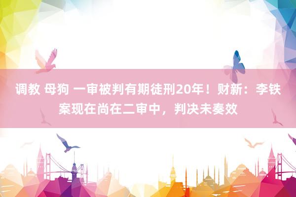 调教 母狗 一审被判有期徒刑20年！财新：李铁案现在尚在二审中，判决未奏效
