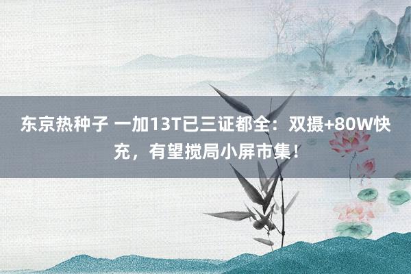 东京热种子 一加13T已三证都全：双摄+80W快充，有望搅局小屏市集！