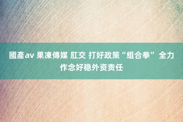 國產av 果凍傳媒 肛交 打好政策“组合拳” 全力作念好稳外资责任