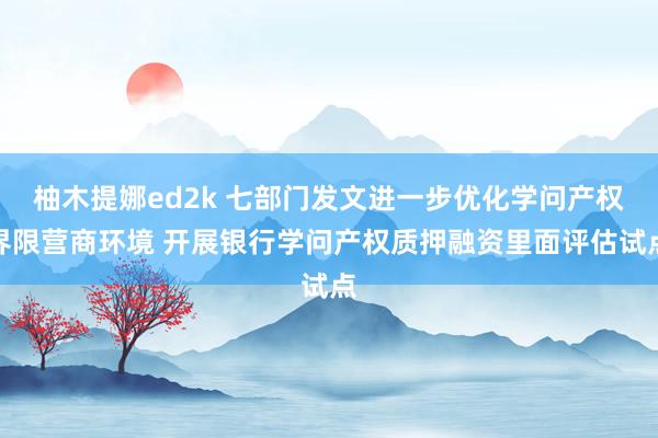 柚木提娜ed2k 七部门发文进一步优化学问产权界限营商环境 开展银行学问产权质押融资里面评估试点