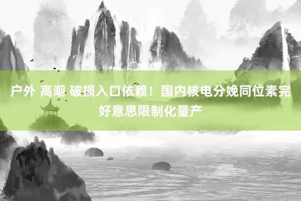户外 高潮 破损入口依赖！国内核电分娩同位素完好意思限制化量产