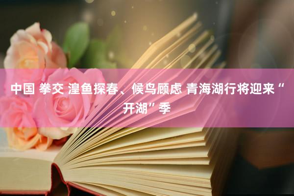 中国 拳交 湟鱼探春、候鸟顾虑 青海湖行将迎来“开湖”季
