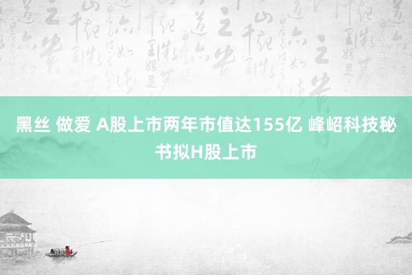 黑丝 做爱 A股上市两年市值达155亿 峰岹科技秘书拟H股上市