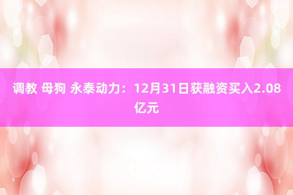 调教 母狗 永泰动力：12月31日获融资买入2.08亿元