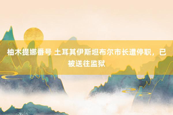 柚木提娜番号 土耳其伊斯坦布尔市长遭停职，已被送往监狱